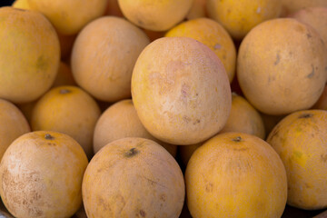 Group of yellow fresh ripe melons on local bazaar