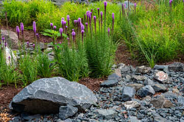 Garden Features with Stones and Blazing Star Flowers