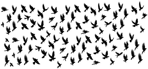 silhouette flying birds. a flock of birds vector