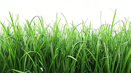 Fototapeta premium Vibrant Fresh Green Grass Field in Sunlight - Ideal for Eco-Friendly, Landscaping, Gardening, and Seasonal Stock Photo Collections