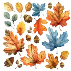 Fototapeta premium Vibrant Autumn Watercolor Oak Leaf and Acorn Collection on White Background