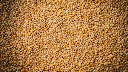 Top view of full frame background of pile of dry corn seeds stored in warehouse at factory