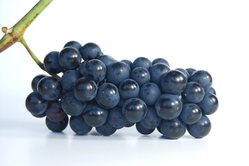 a bunch of blue grapes with a green stem on a white background