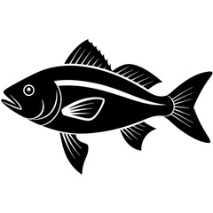 vector-art-of-yellowtail-snapper. silhouette on white background 