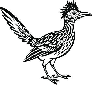 recommend clip art: roadrunner silhouette vector illustration