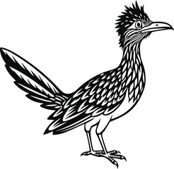 roadrunner silhouette vector illustration