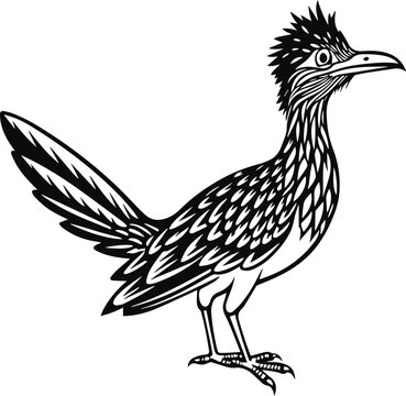 recommend clip art: roadrunner silhouette vector illustration