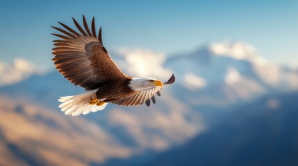 Obraz premium Majestic Bald Eagle Soaring Over Mountains in a Deep Blue Sky Background - 3D Render