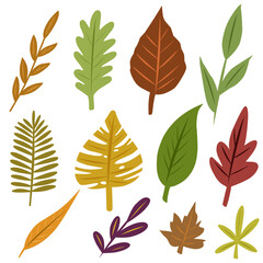 Fototapeta premium set of autumn leaves, a set of assorted autumn leaves with color variations