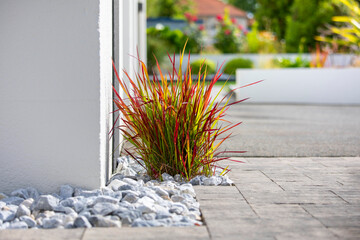 Charmant petit jardin paysagé moderne au printemps.