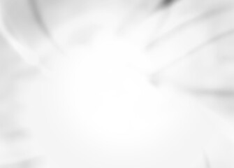 not created by AI, white gray brushed metal texture background, white background, white wallpaper silver grey metallic background, white rose petals