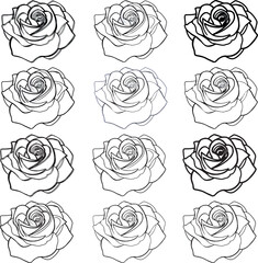 Set Line art rose flower isolated on white wedding illustration coloring page clip art design monochrome black outline botanical sketch drawing pattern element hand drawn thick outline thin line