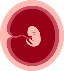 Human embryonic development 2 month