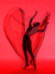 Ethereal Dance Silhouette in Bold Red - A dynamic and ethereal representation of a dancer, set...