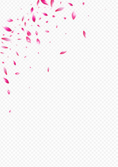 1785x2526-08__Pink1_01.eps