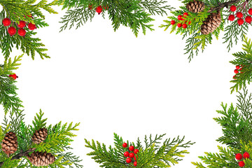 Festive Christmas Frame made of thuja twigs decorated with cones and artificial red berries. Frame isolated on white background, copy space, top view. Overlay background.