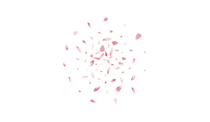 2880x1680-07__Pudra_sakura2_01.eps