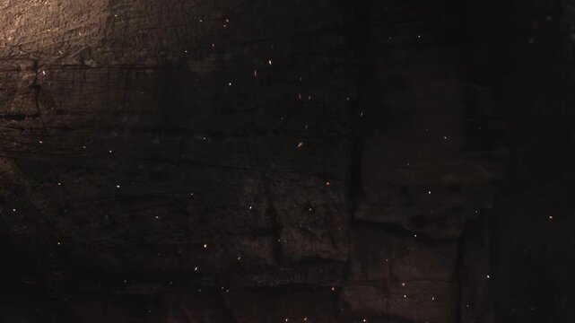 Best Logo Reveal Background