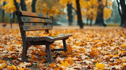 A peaceful scene bathed in the warm light of sunset.