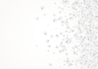 White_petals_gray_background_283.eps