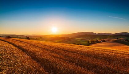 Golden Hour Over Agricultural Fields