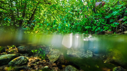 Small stream with clear water flowing through the forest.