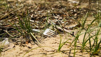 Left garbage on the river bank