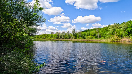 Summer landscape on the river bank