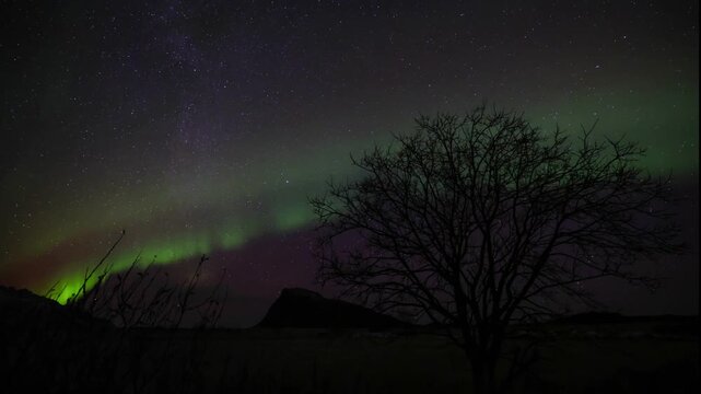 4k Time Lapse Aurora in the Lofote Islands in Norway