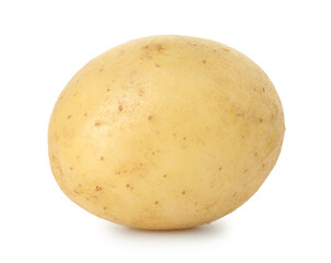 One fresh young potato isolated on white