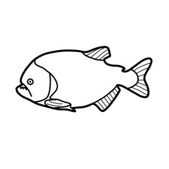 fish animal natural water swim sea marine piranha
