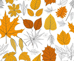 Obraz premium Autumn leaves pattern, hand-drawn fall foliage illustration, orange and white background.
