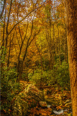 Fall landscape with small cascade bubbling through a rocks in foreground in rural Tennessee