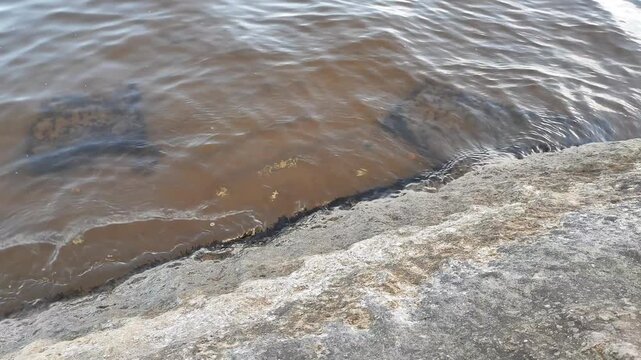 movement of water on the river bank