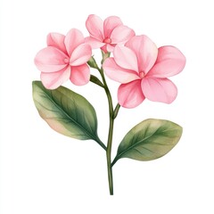 Fototapeta premium A delicate pink flower with lush green leaves, perfect for enhancing any floral design or nature-themed project.