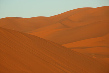 dune in the sahara