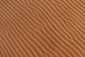sand dune texture