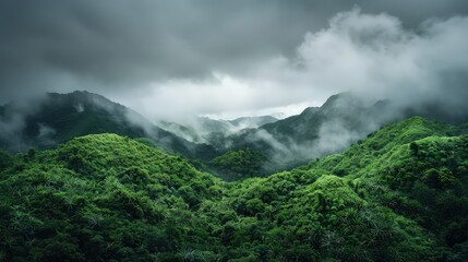 Obraz premium The hills are covered with thick green foliage, and the air feels fresh and moist.