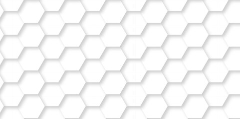 Abstract White Hexagonal Background. Luxury White Pattern. Vector Illustration. 3D Futuristic abstract honeycomb mosaic white background. geometric mesh cell texture. modern futuristic wallpaper.