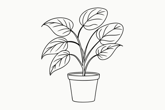 recommend clip art: Potted plant line art vector illustration, House plant outline icon vector
                    
                    