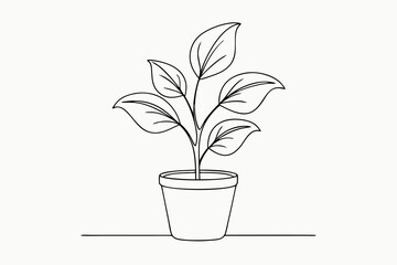 House plant in a pot doodle outline, Potted plant line art vector illustration