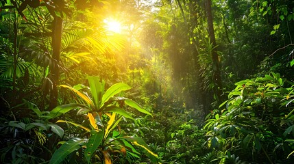 The amazons diverse and exotic plants form impenetrabl