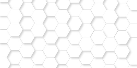 Fototapeta premium White Hexagonal Background. Luxury White Pattern. Vector Illustration. 3D Futuristic abstract honeycomb mosaic white background. geometric mesh cell texture. modern futuristic wallpaper.