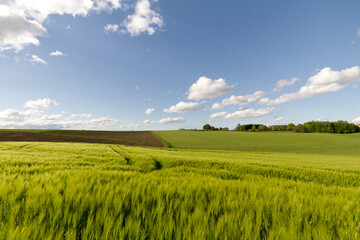 Obraz premium Feldlandschaft in Deutschland, Bayern
