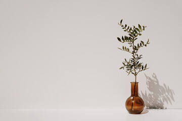 Minimalistic Decor with Green Leafy Branch in Amber Glass Vase Against Clean White Background with...
