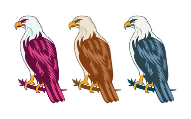Colorful Eagle set or collection vector Illustration. Colorful Eagle