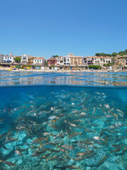 Spain tourist town on the Mediterranean coast seen from sea surface with a shoal of fish underwater, natural scene, split view half over and under water surface, Calella de Palafrugell, Costa brava