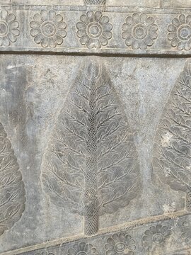 Relief an Palastmauer in Persepolis, Iran, 2022