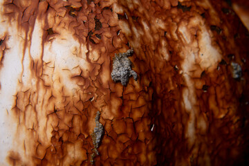 A close-up of a rusty surface
