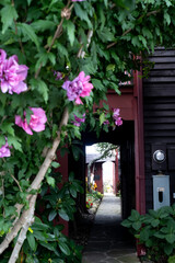 Summer flowers and an arch in the building